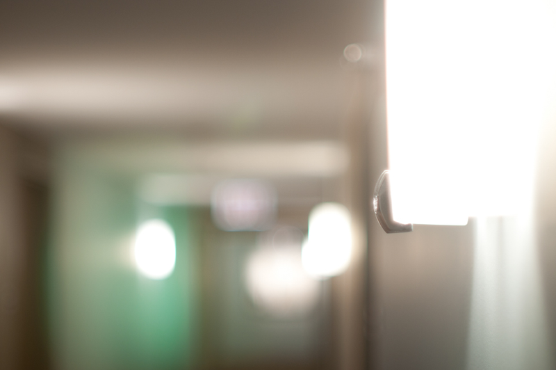 Illustration for article titled Shooting Challenge: Bokeh, Gallery 2